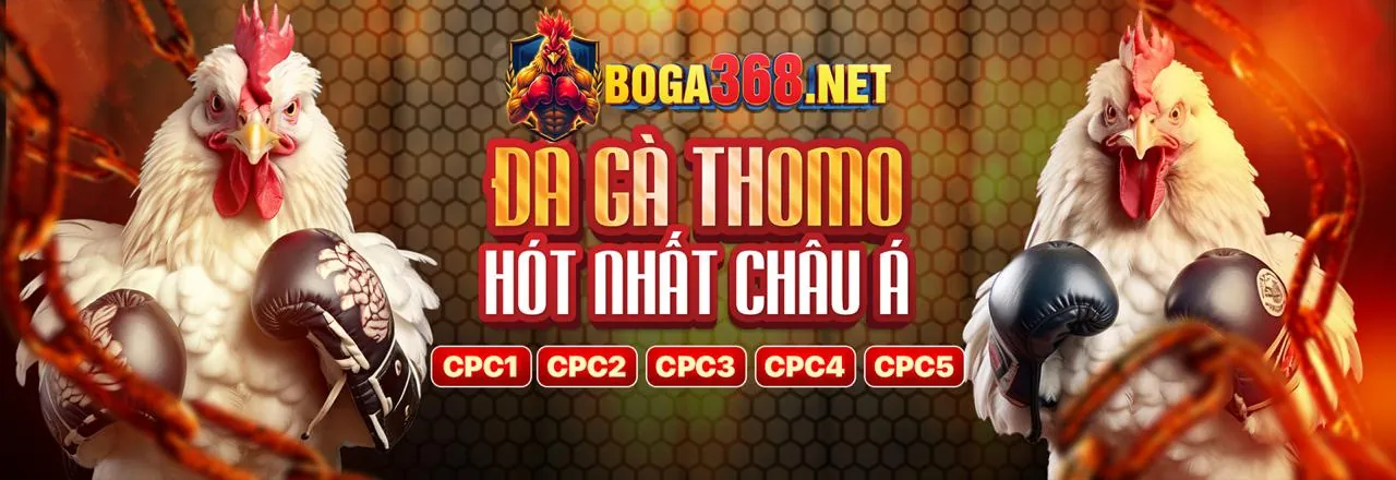 Đá gà trực tuyến SV368VI LINK VÀO 2026