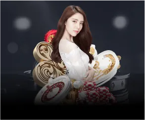 Cookie hiệu suất sv368vi